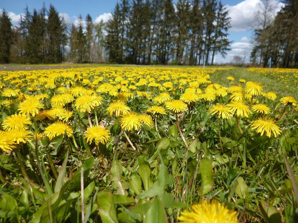 Ferienwohnung Rossenhof Weesby Exteriör bild